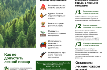 “Останови огонь”