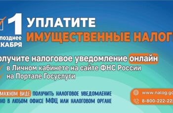 Информация для населения о сроке оплаты налогов